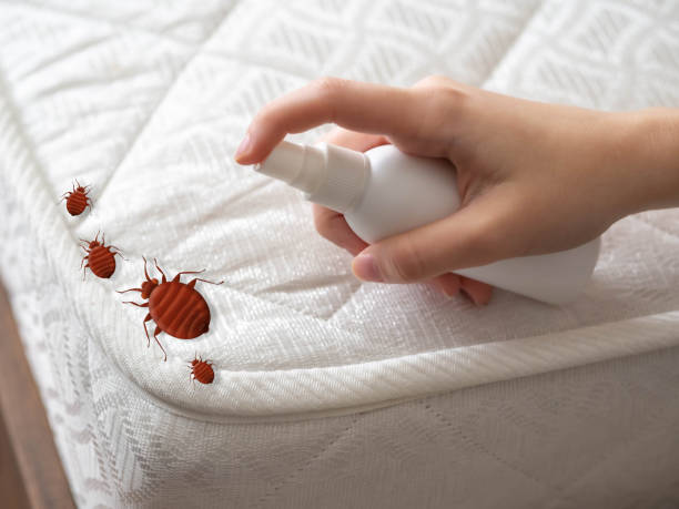 Best Pest Control for Homes  in Red Bud, IL